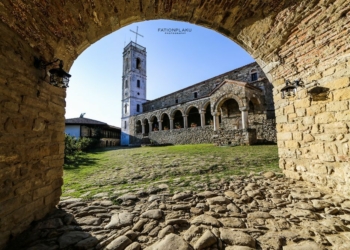 Monastero di Ardenica