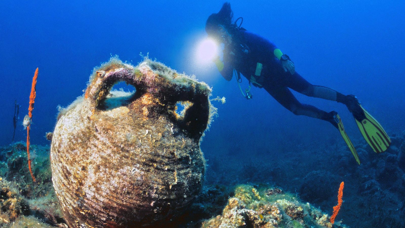 Tesori Marittimi Del Mediterraneo In Albania