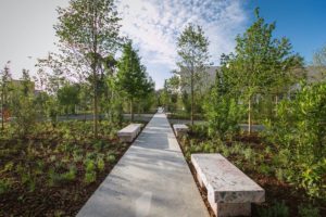 Piazza Scanderbeg Tirana Albania 13