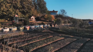 Screenshotter AltinPrengaEuropeansMakingaDifference 0’24”