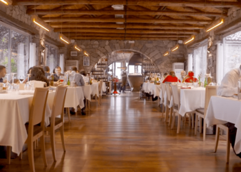 Screenshotter AltinPrengaEuropeansMakingaDifference 0’39”