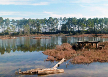 parco nazionale di Divjaka-Karavasta