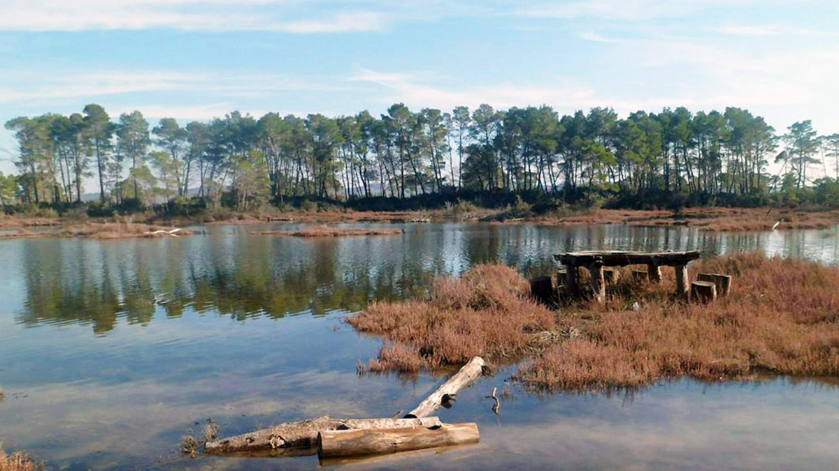 parco nazionale di Divjaka-Karavasta