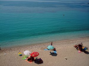 40080759 331611667409431 5139305725490626560 N