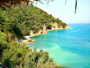 40231923 331611417409456 5372794243783852032 N