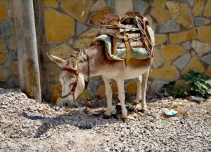 40247092 331611610742770 2560759115051696128 N