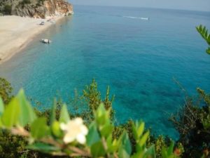 40252577 331611754076089 4480803293878026240 N