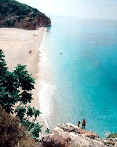 40281985 331611354076129 6417457850699743232 N