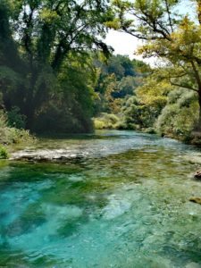 40318642 331611544076110 5399255163632353280 N