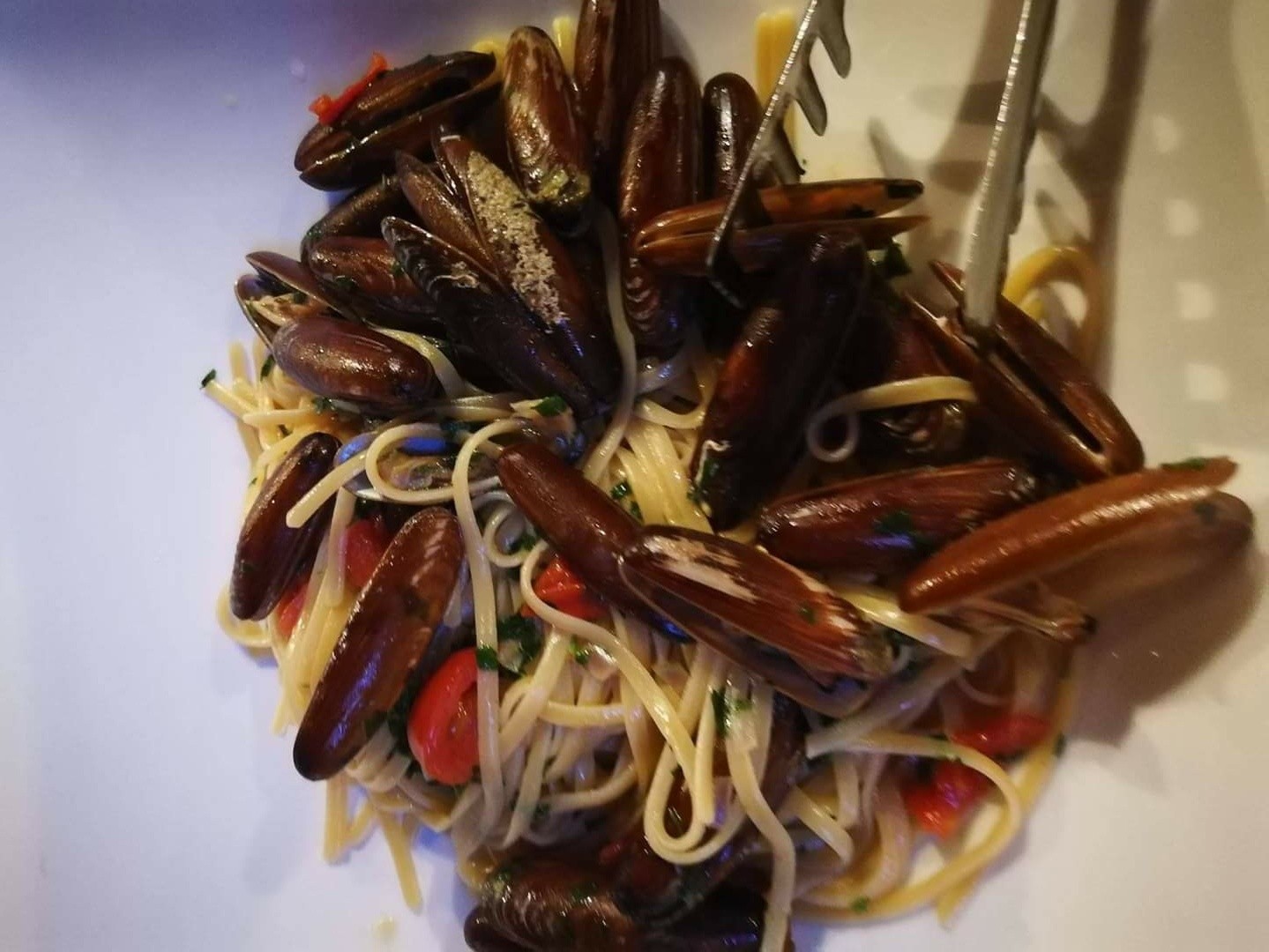 Datteri Proibiti Albania