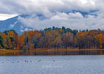 Lago artificale di Tirana, Albania