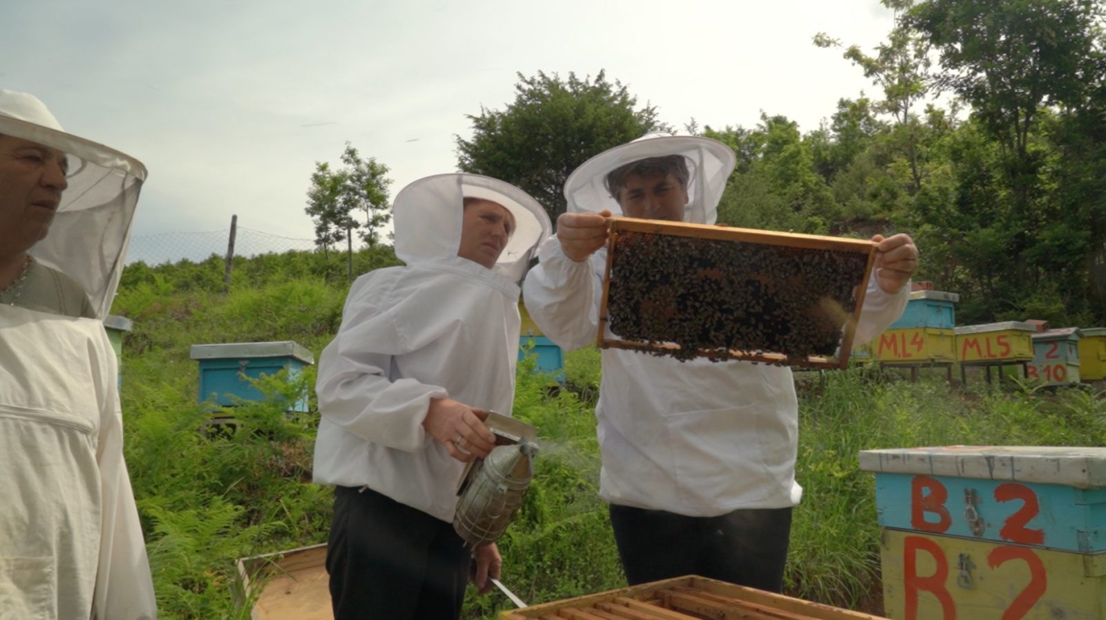 - il gruppo "L'ape operaia", nord dell'Albania