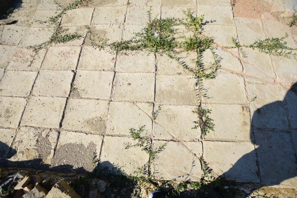 Insediamento Romano Belsh Albania 3