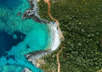 Baia Acquario Gjiri I Akuariumit