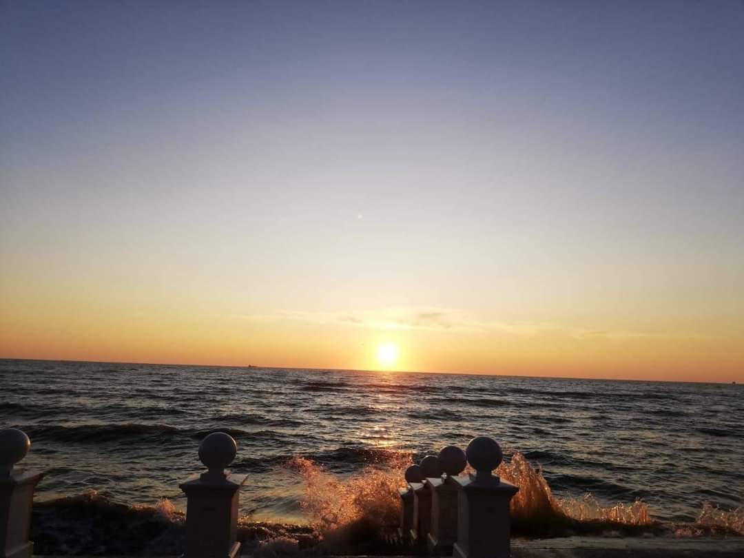 FB IMG 1596532485990