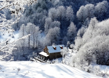 Villaggio di Dardhë, Korçë