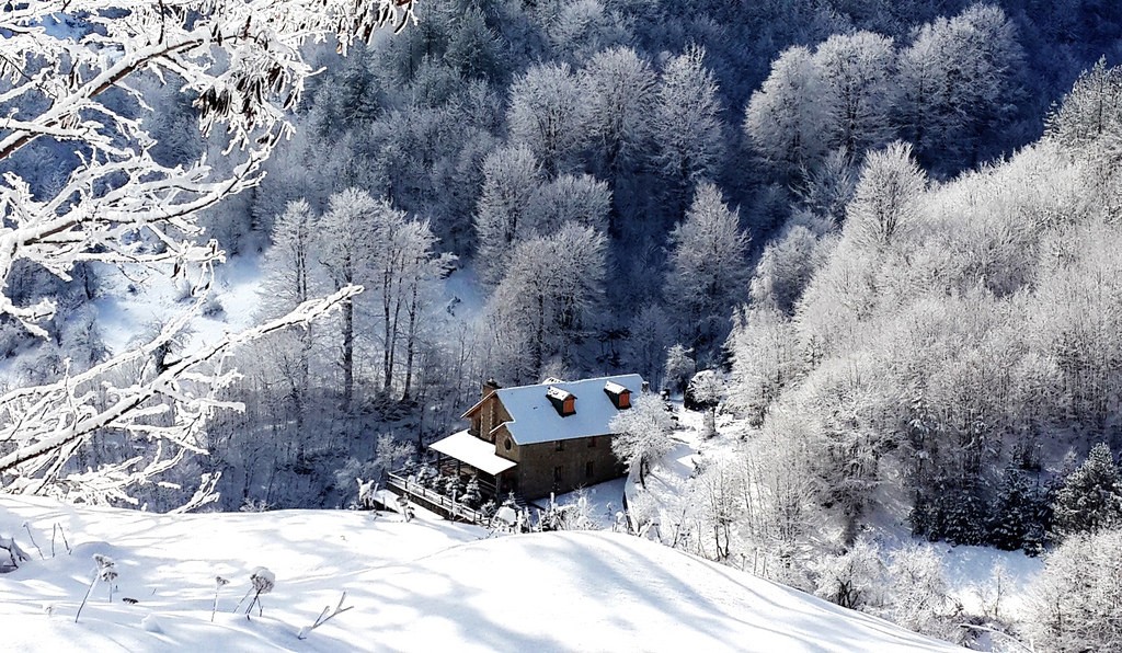 Villaggio di Dardhë, Korçë