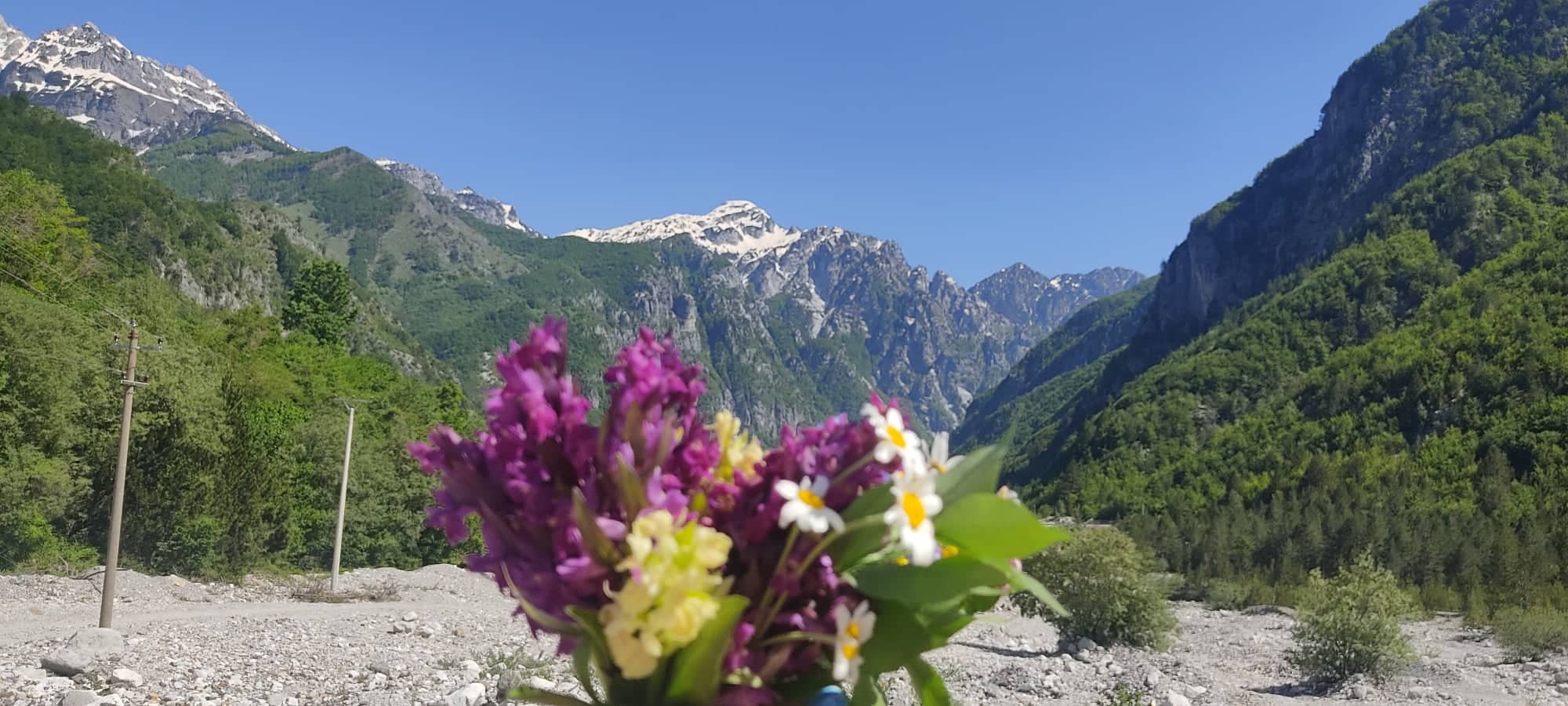 281381213 581851416513183 7139893980792677323 N