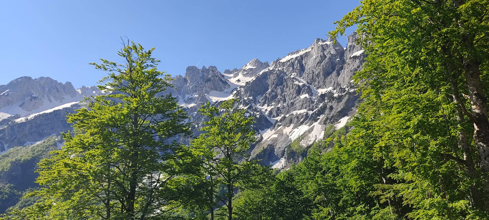 281800588 729825811484683 1631418320502550135 N