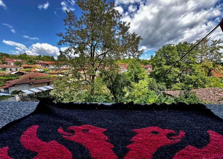 Devoll Panorama Bandiera